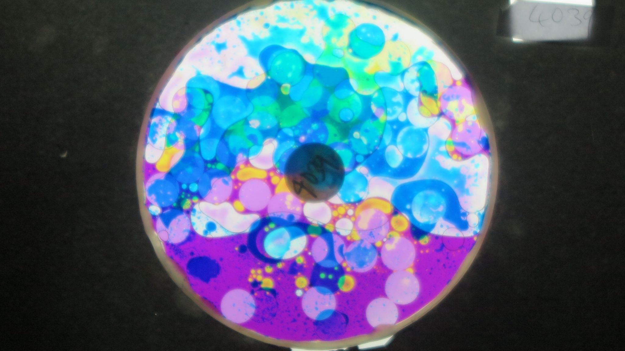 BV4039 bubble vision oil wheel